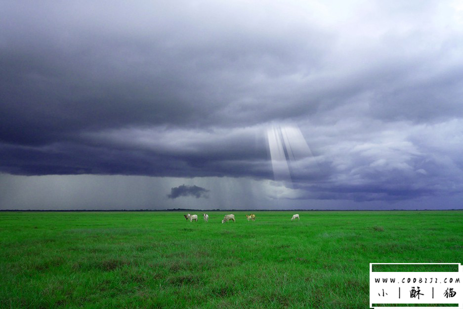 PS笔刷-50组高清太阳光耶稣光丁达尔窗户光笔刷素材 Light Rays插图2小新卖蜡笔