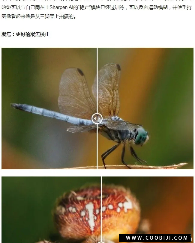 软件-图片锐化清晰处理软件 Topaz Sharpen AI 2.2.4 Win/Mac插图2小新卖蜡笔