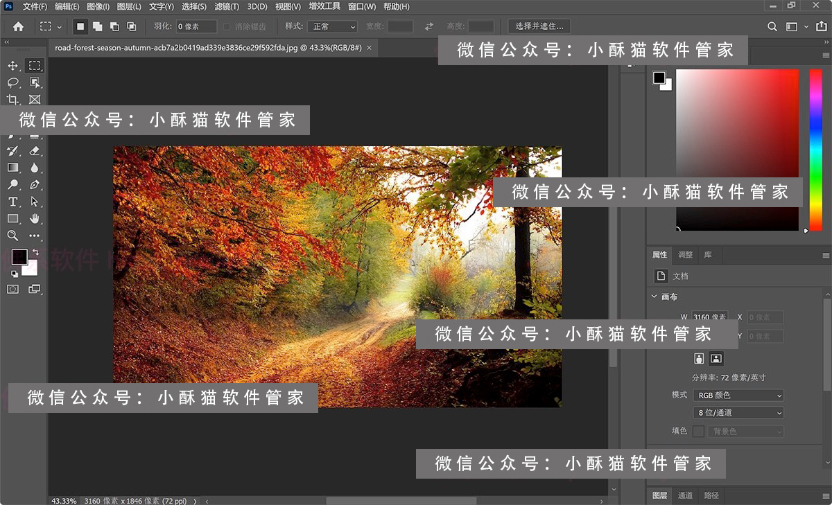 Adobe Photoshop 2023 25.0.0.2257 Beta +Neural Filters 图像编辑处理设计