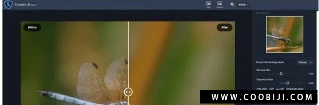 软件-图片锐化清晰处理软件 Topaz Sharpen AI 2.2.4 Win/Mac-小新卖蜡笔