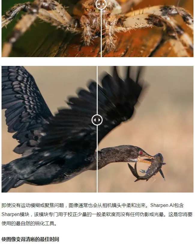 软件-图片锐化清晰处理软件 Topaz Sharpen AI 2.2.4 Win/Mac插图3小新卖蜡笔