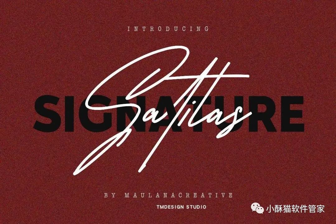 【01】32款高端手写英文字体！绝对可以冲击甲方视觉！插图2小新卖蜡笔