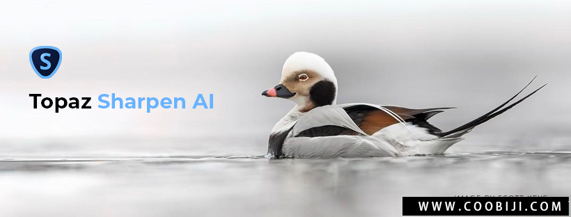 软件-AI人工智能防抖清晰锐化Topaz Sharpen AI V3.2.2 Win/Mac-小新卖蜡笔